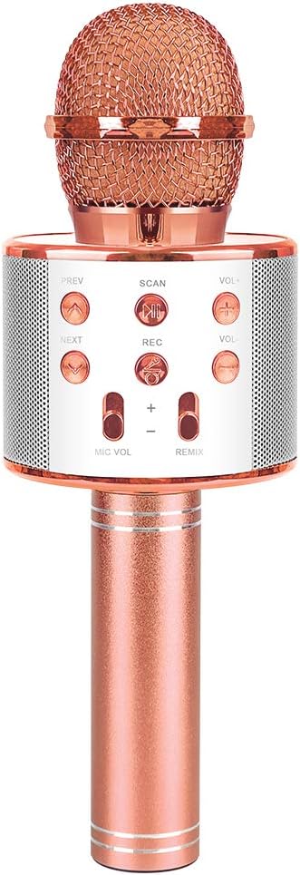 Sunnypig Popular Singing Wireless Bluetooth Microphone with Speaker for Girls Boys Kids 